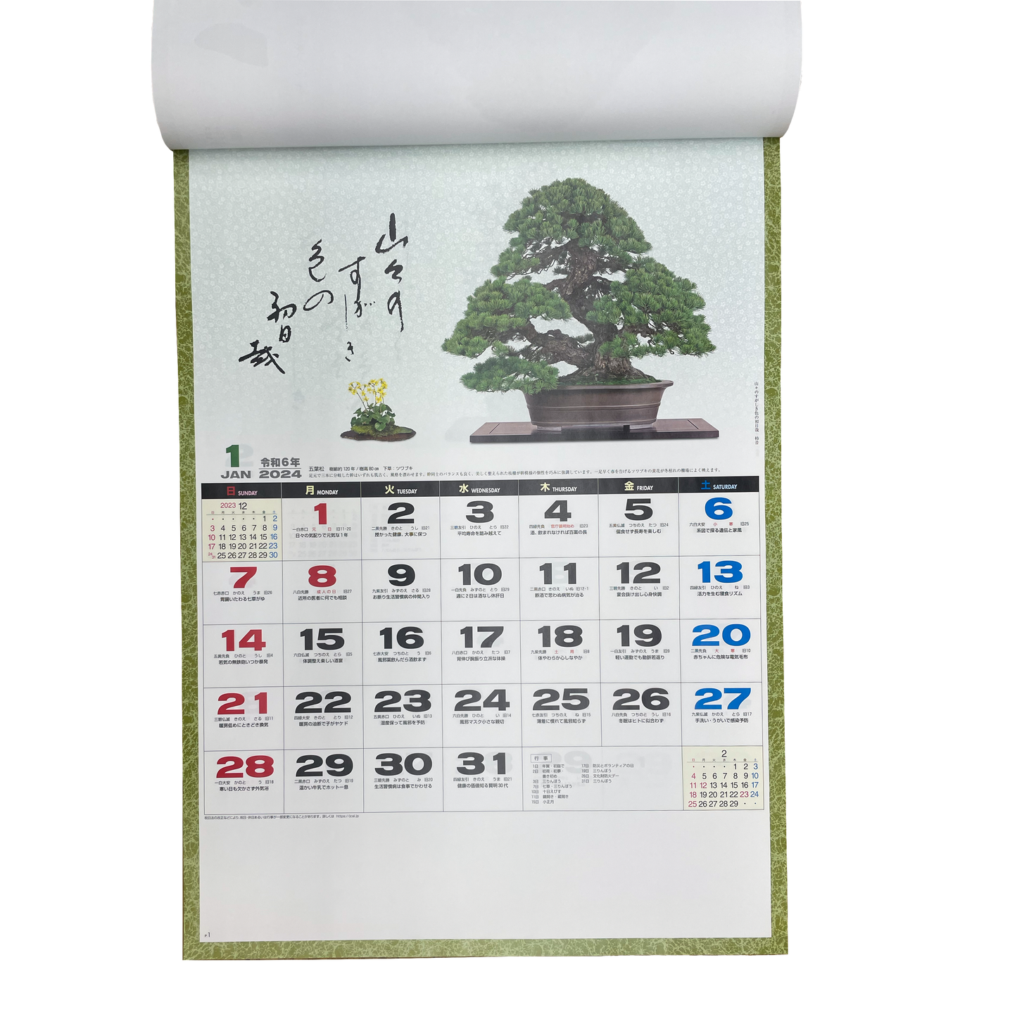 2024 Bonsai Tree Calendar